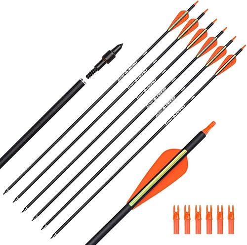 SHENG-RUI Carbon Hunting Arrows with 100 Grain Tips