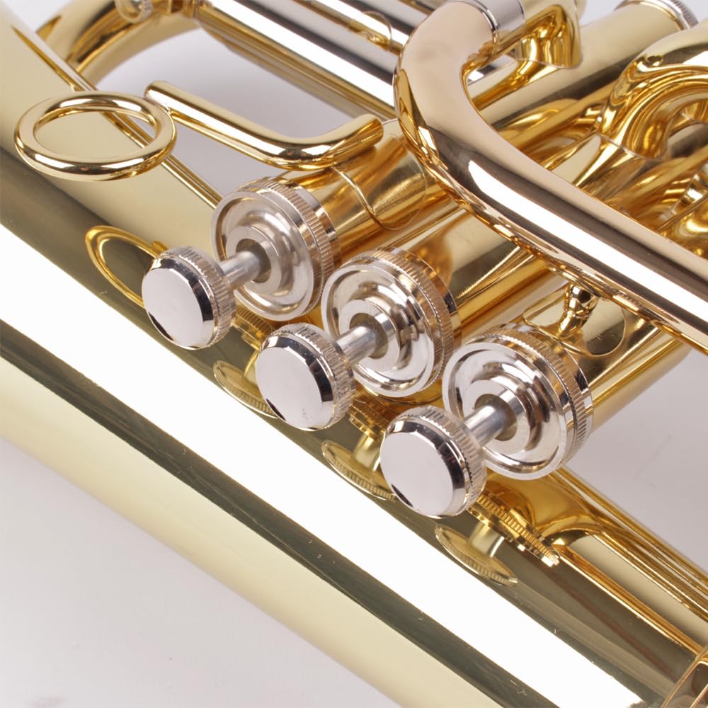 Marching Bariton in Bb, Basstrompete, Goldmessing Mundrohr Edelstahl Ventile