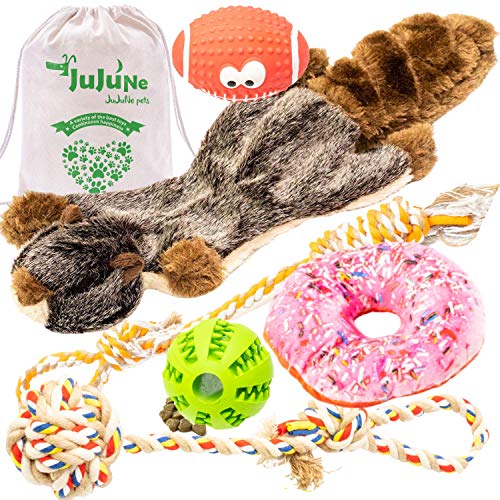 Dog Toys in Giftable Bag- Dog Toy Pack-6 Durable Toys with Treat Dispenser-Play, Train & Bond with Your Dog-Dog Toy Set for Large, Medium, Small Dogs