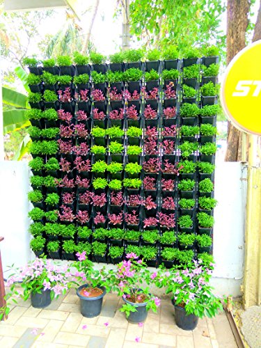Image of Garden Vertical Hook Pot, 10 Pcs, Black Colour