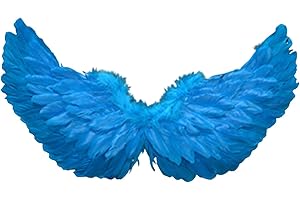 Blue Wings Costume