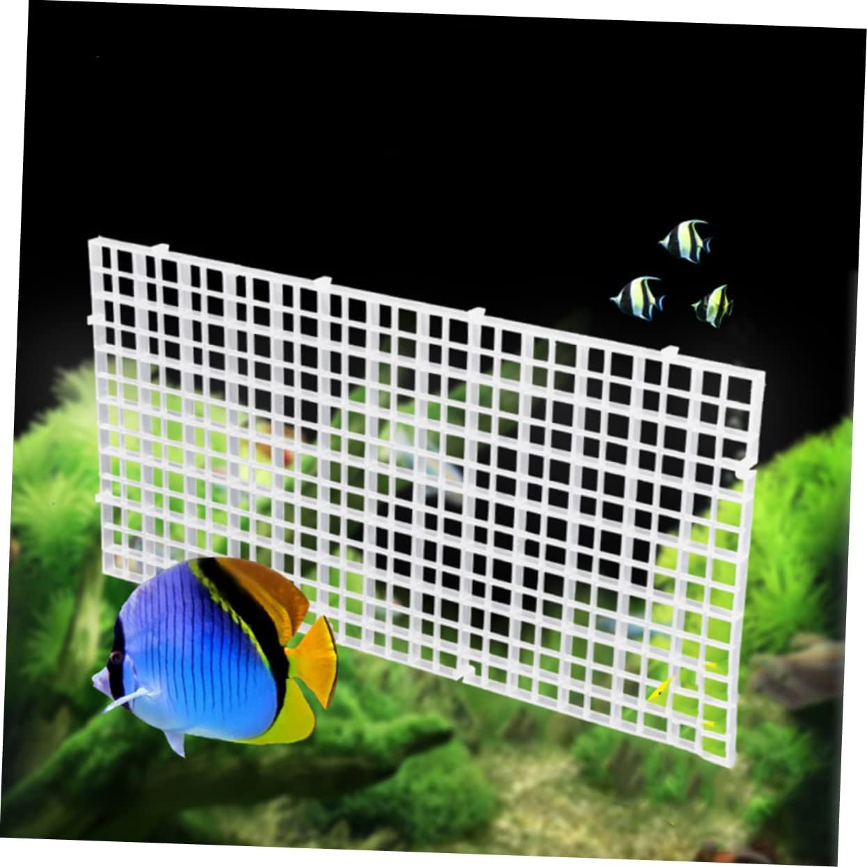 6 Pcs Fish Tank Isolation Panel Lattice Plate Durable Divider for Breeding Separation Easy to Install Bottom Aquarium Supplies White