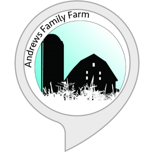 Egg Stand Alexa Skills