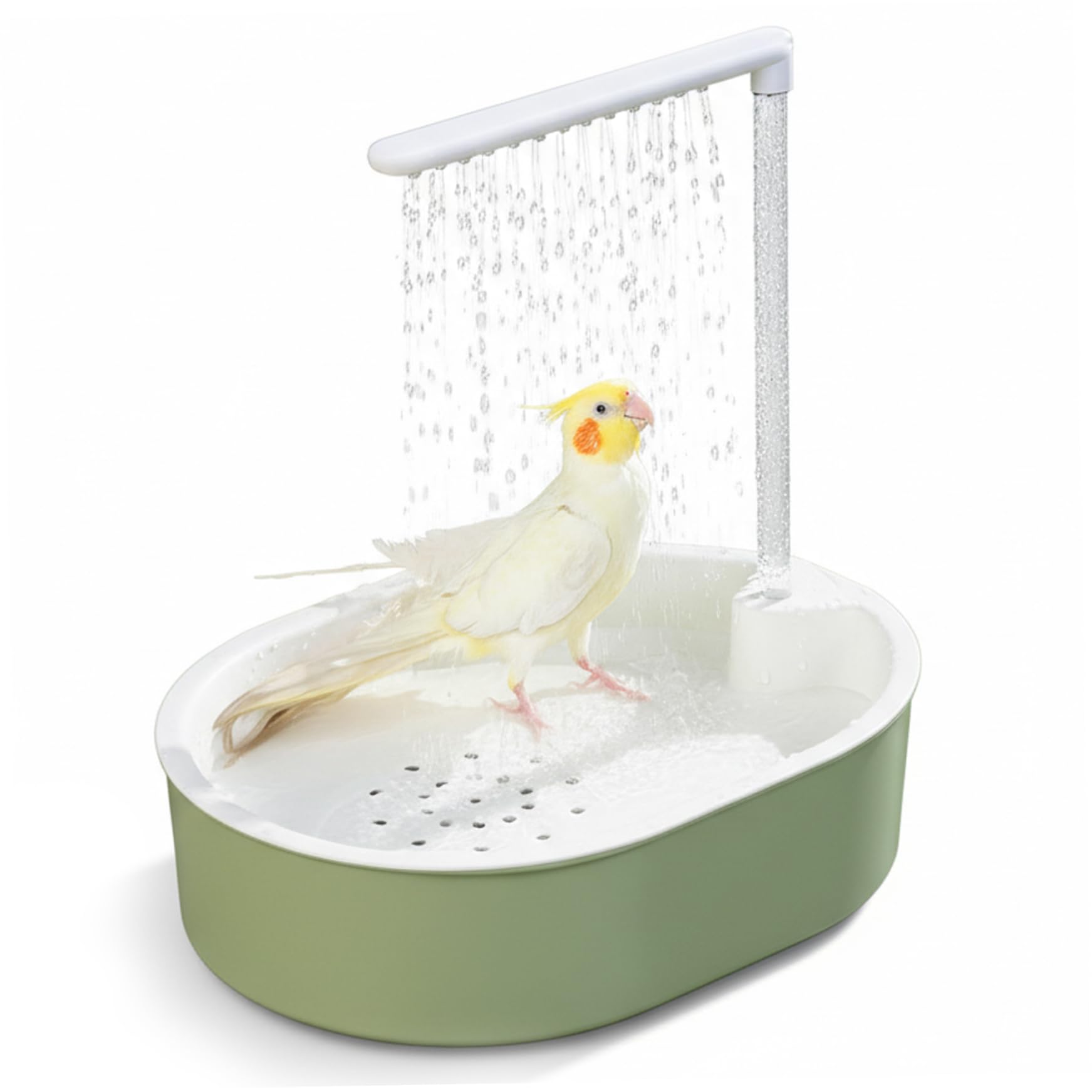 Baño para Loros y periquitos Ducha para pájaros en Jaula Ducha de Lluvia Suave para Loros y periquitos Juego Completo automático con Agua Ajustable Alimentado por USB.