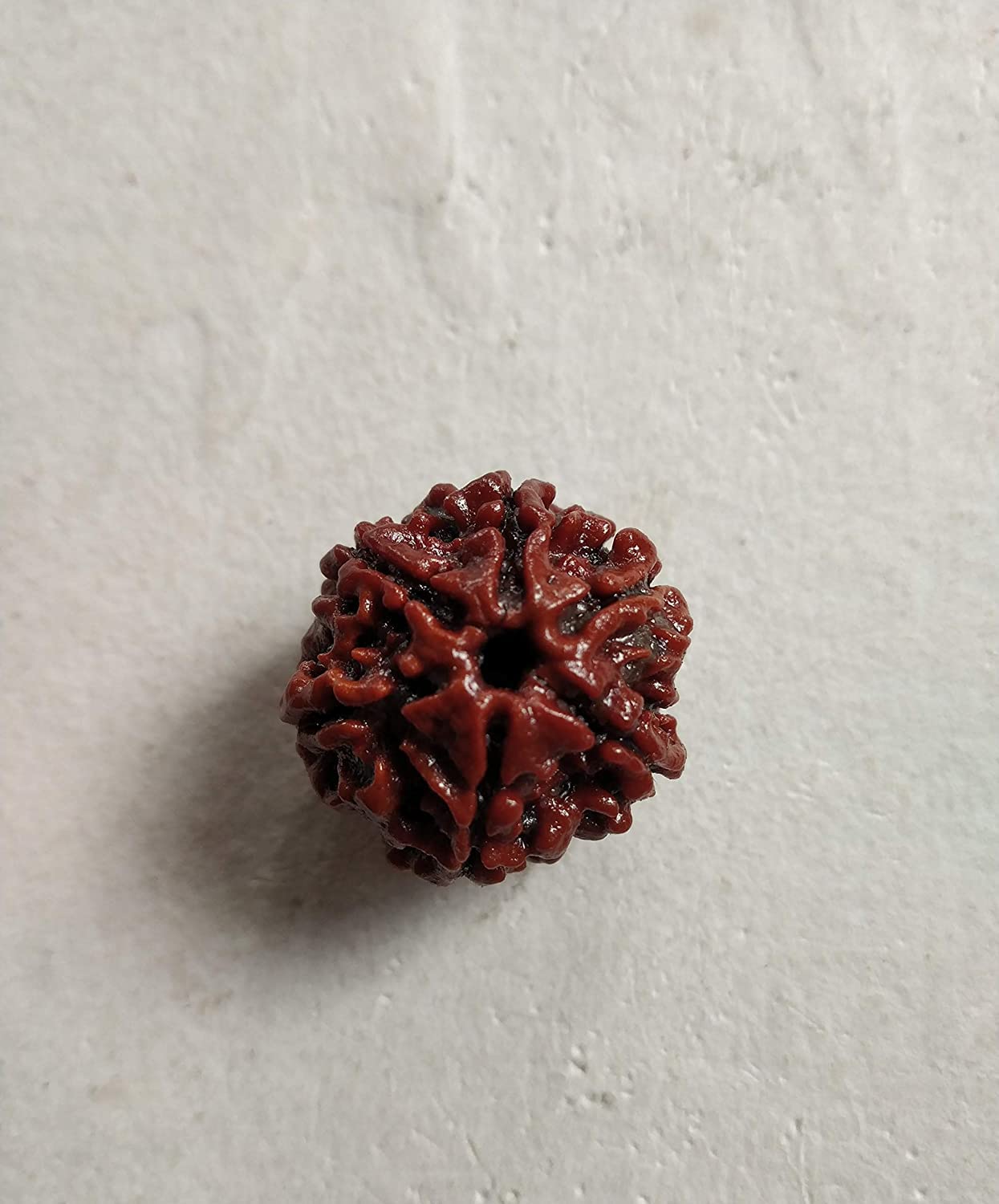 A&S Ventures 6 Mukhi Rudraksha/Six Face Rudraksha - Lab Certified (B09LYWWHMY) Amazon Price History, Amazon Price Tracker