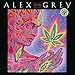 Alex Grey 2018 Wall Calendar
