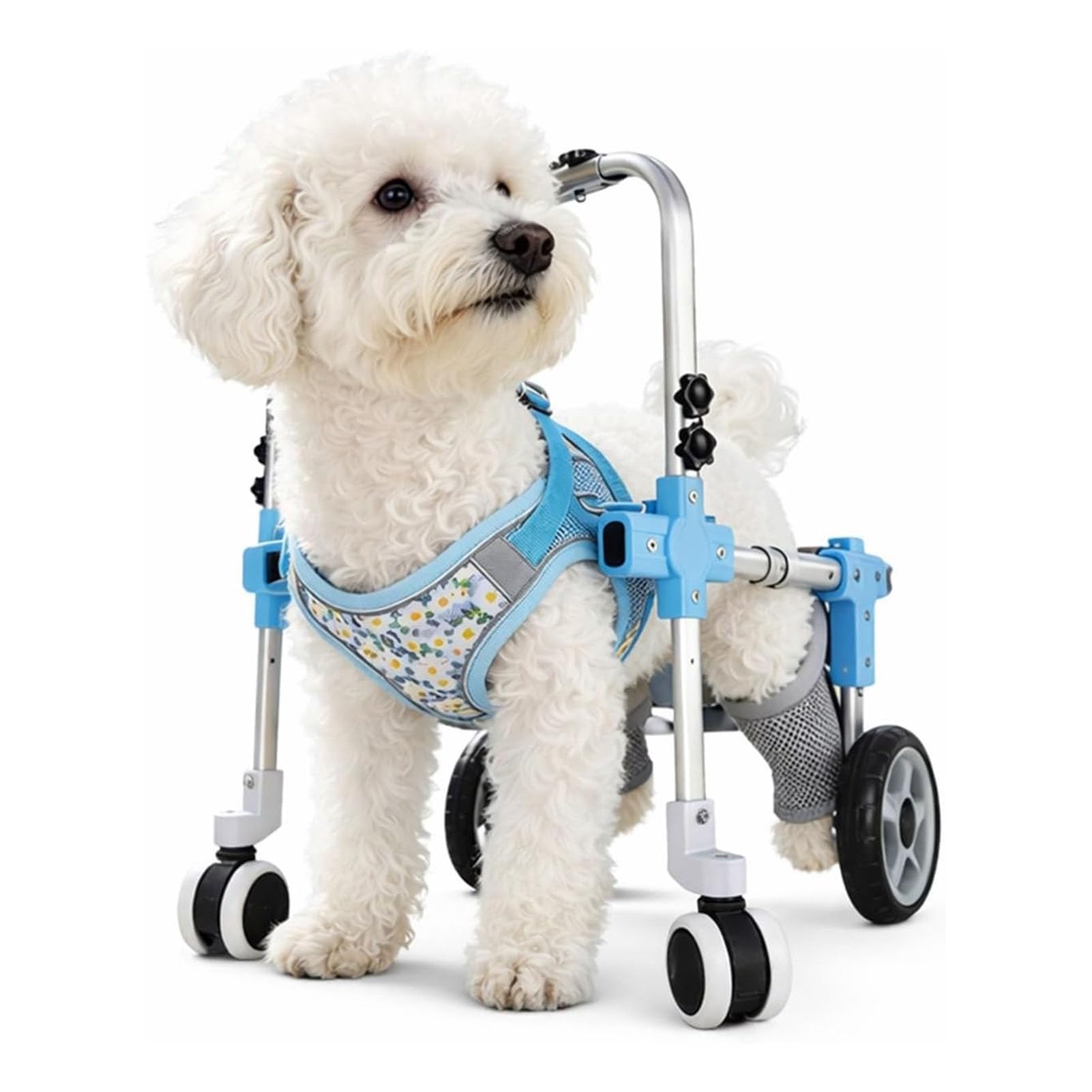 SJMDMZD Adjustable Dog Wheelchair for Back Legs, Dog Cart for Pet/Doggie Disabled Hind Legs Walking, 2/4-Wheel Mobility Aids for Pets Hind Limbs Blue 4Wheel L