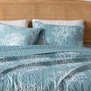 Full / Queen Coastal Quilt Bedding Set, Summer Coastal Quilt with Shams, Beach 3-Piece Reversible All Season Bedspread Quilt Set. Lightweight Nautical Quilted Coverlet. Fenwick Collection, Ether Blue Full Queen Coastal Quilt Bedding Set Summer Coastal Quilt with Shams Beach 3 Piece Reversible All Season Bedspread Quilt Set Lightweight Nautical Quilted Coverlet Fenwick Collection Ether Blue