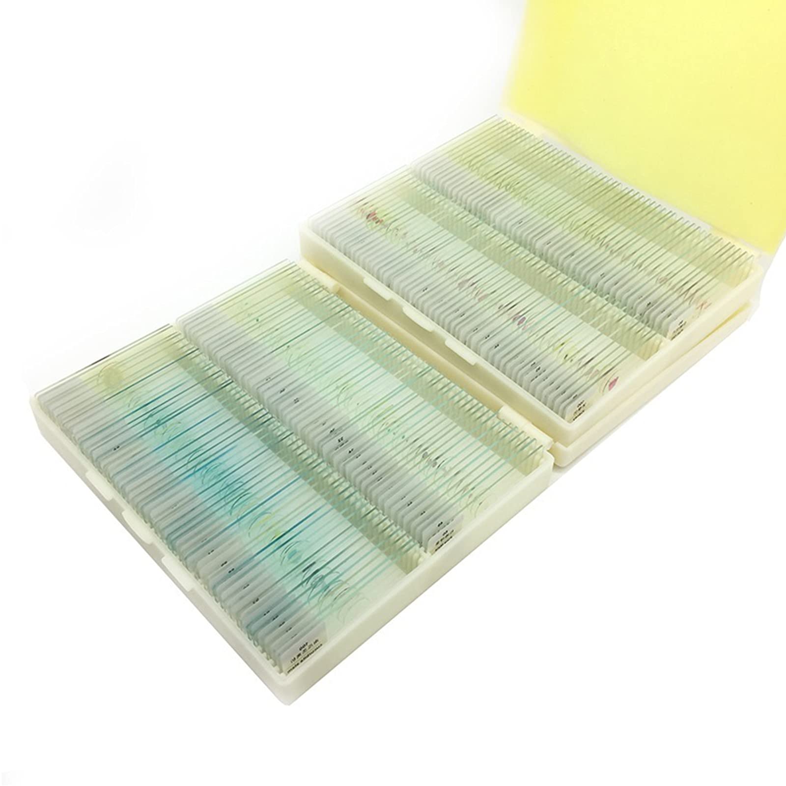 Zestaw szkiełek mikroskopowych – 200 szt. próbek biologii ogólnej dla studentów, hobbystów i początkujących – roślin, zwierząt, komórek anatomii człowieka, do nauki domowej, dla dzieci