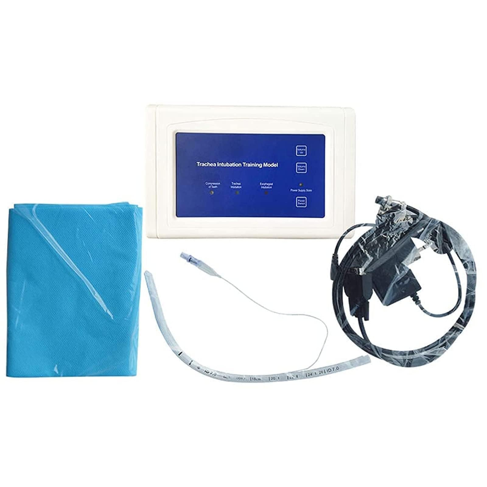 Intubazione tracheale dell'istruttore della gestione delle vie aeree, modello di insegnamento del manichino di intubazione adulto del PVC, educazione del laboratorio scientifico, 220V