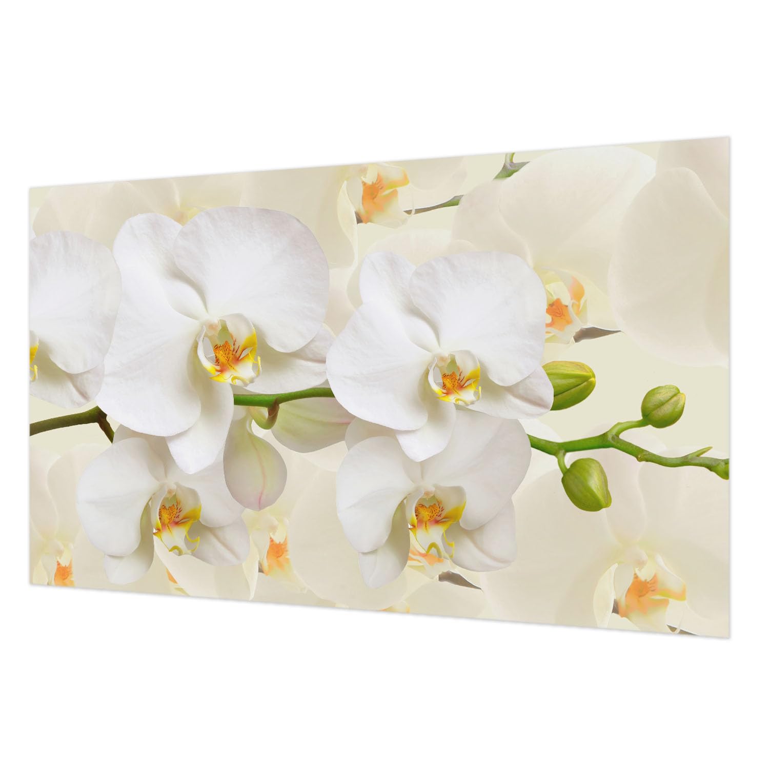 Papier peint intissé fleuri pour créer un salon chaleureux et cosy