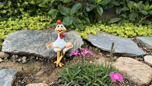 Escultura Decorativa de Pollo Divertido para Jardín miniatura 7