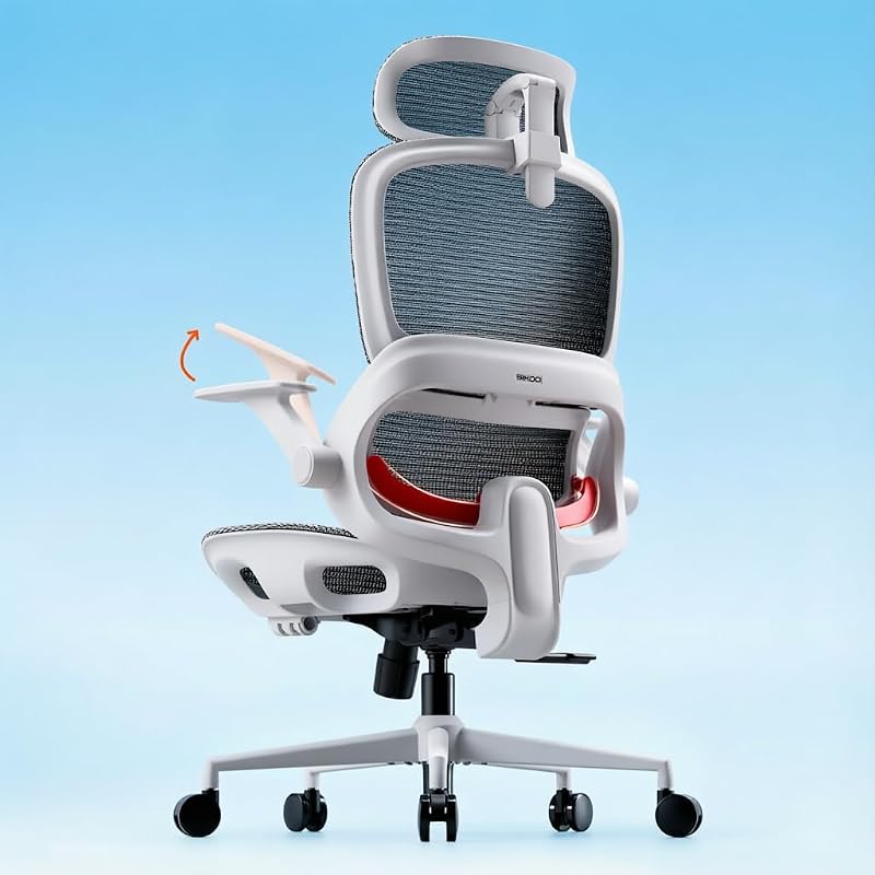 SIHOO B100 Mesh Office Chair, Comfy Ergonomic Office Chair Light Grey Pack of 1