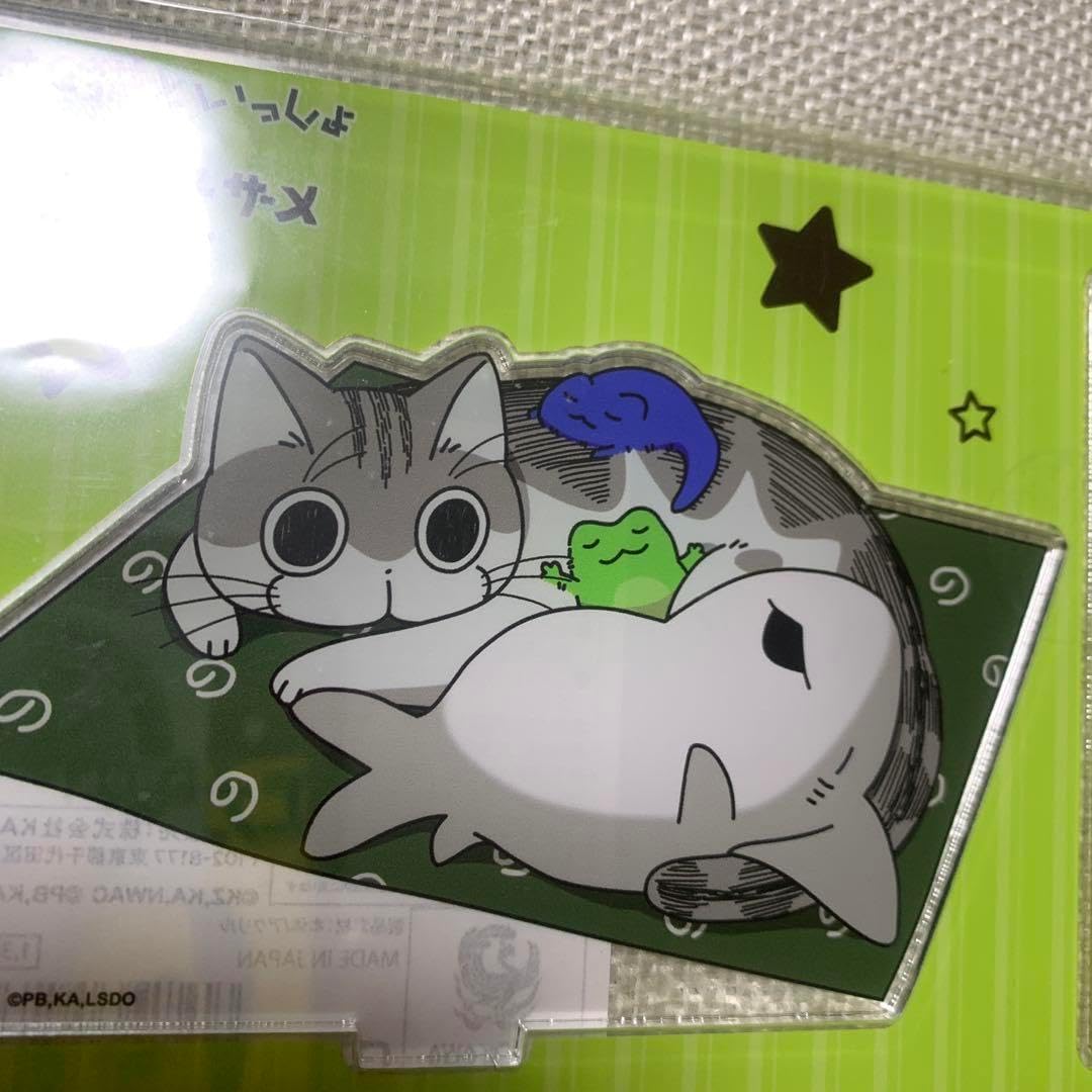 猫ひた 沖拓郎 缶バッジ 購入特典 ミニ フォトシート おまけ付き