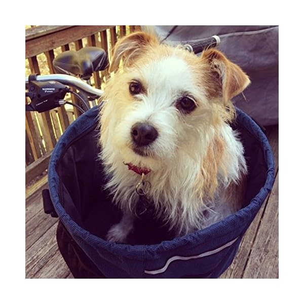 Dog Bicycle Basket Up to 15 lbs