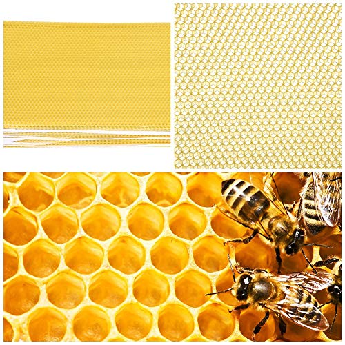 Yunjiadodo Honeycomb Foundation - 30Pcs Beekeeping Bees Foundation Sheet Bee Hive Frame Tool For Honey Extractor