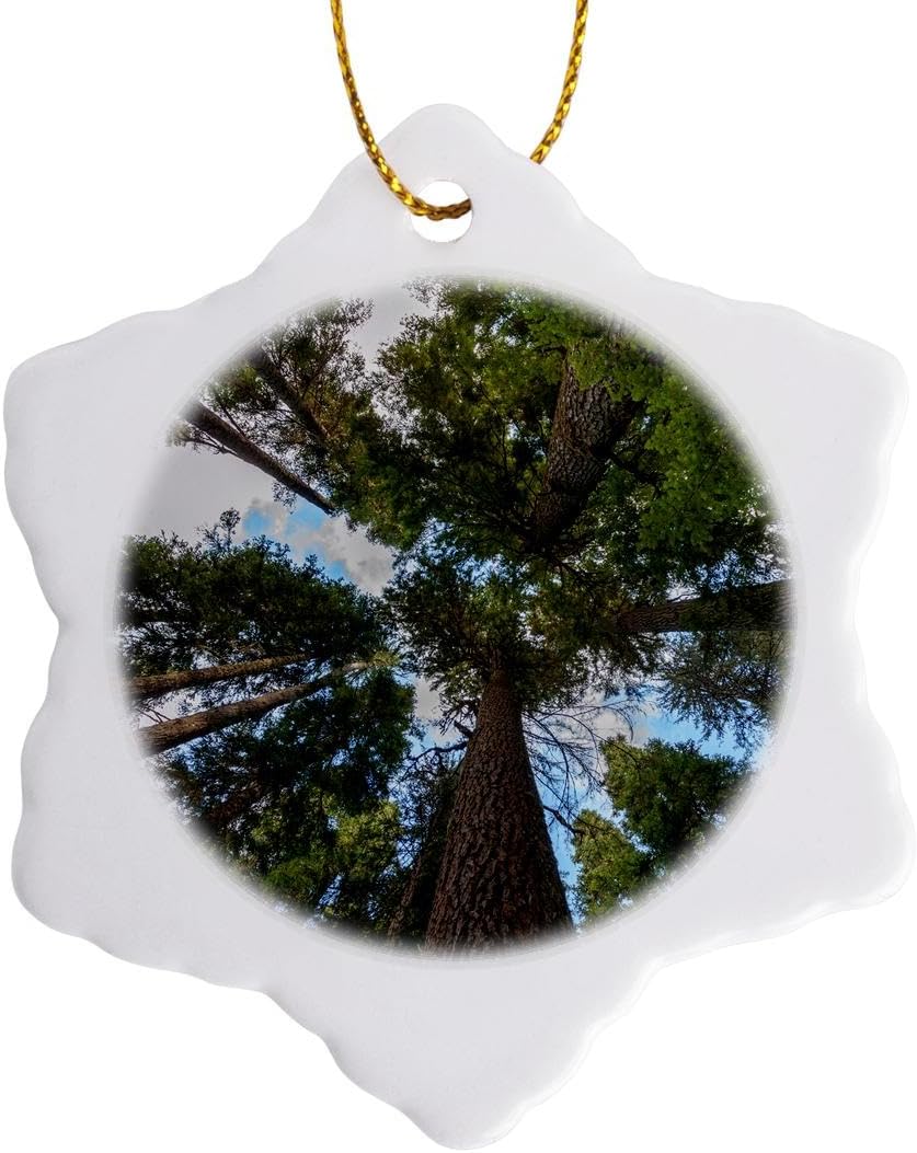 3dRose USA ワシントン州 ダグラスモミのキャノピー マウント・レイニア国立公園スノーフレークオーナメント 3インチ