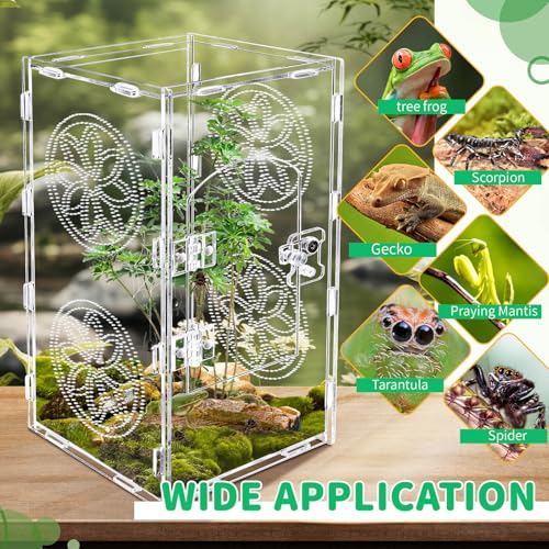Gabinete de aranha saltadora, caixa de tarântula acrílica de 30 x 15 cm, acessórios de aranha saltad