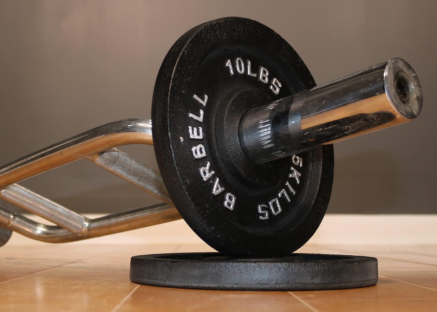 10 Pound Olympic Weight Plate Pair by Deltech Fitness