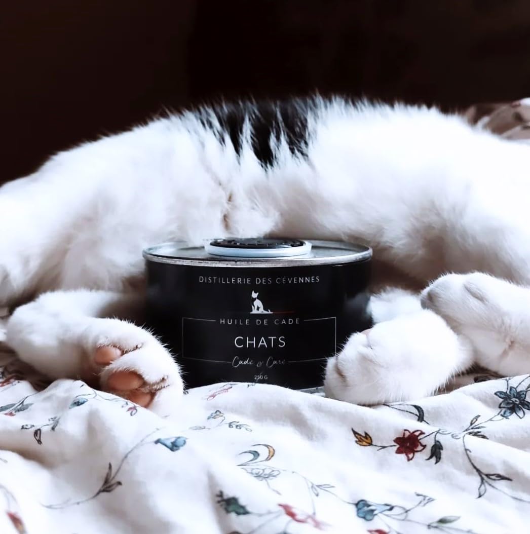 Distillerie des Cévennes - Huile de Cade pour Chats - 250g - La Seule Huile 100% Fabriquée et Distillée en France