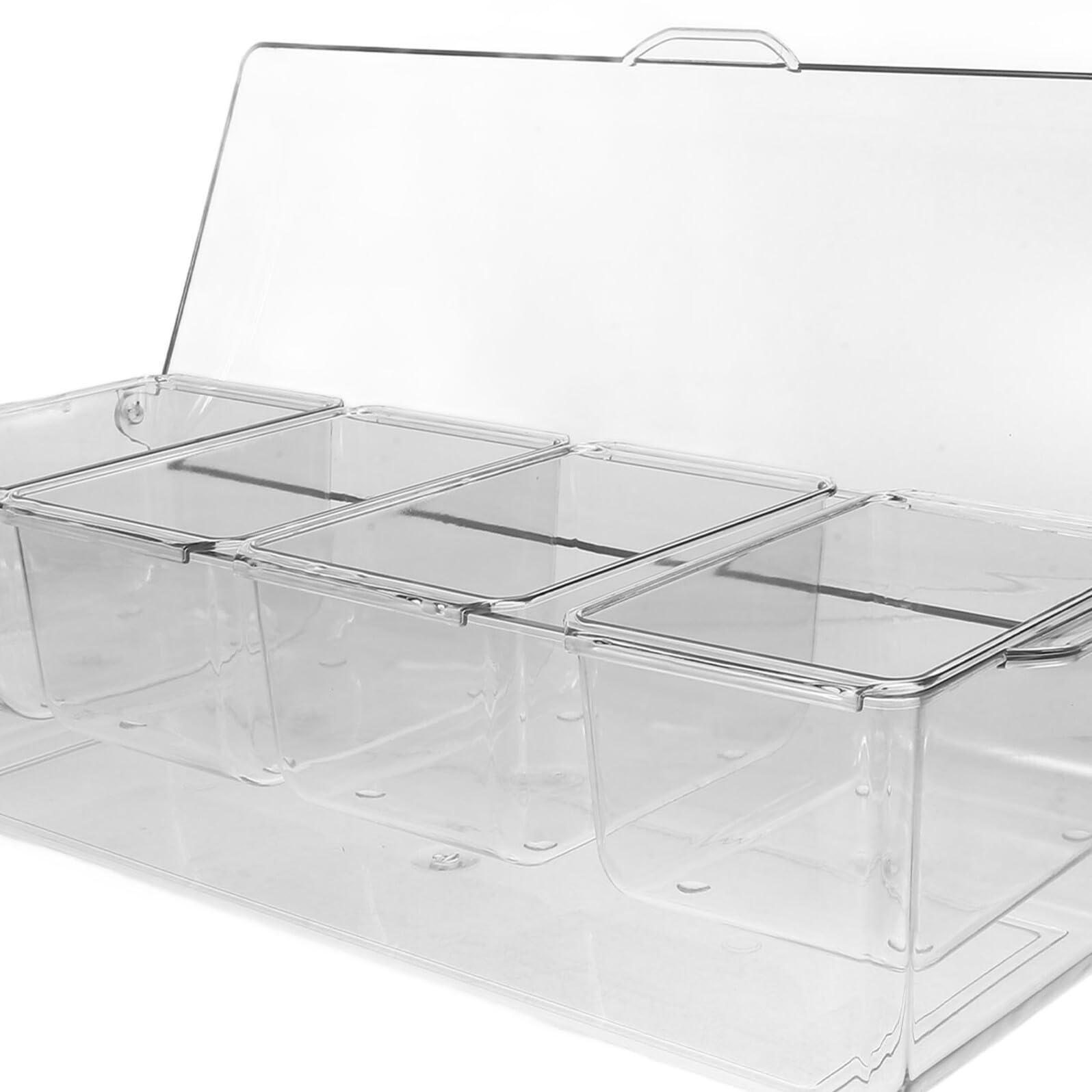 TEHAUX Set 1 Contenitore per Insalata Refrigerato con 4 Scomparti Separati in Pet, Multifunzionale con Coperchio, per Picnic e Bbq All'aperto