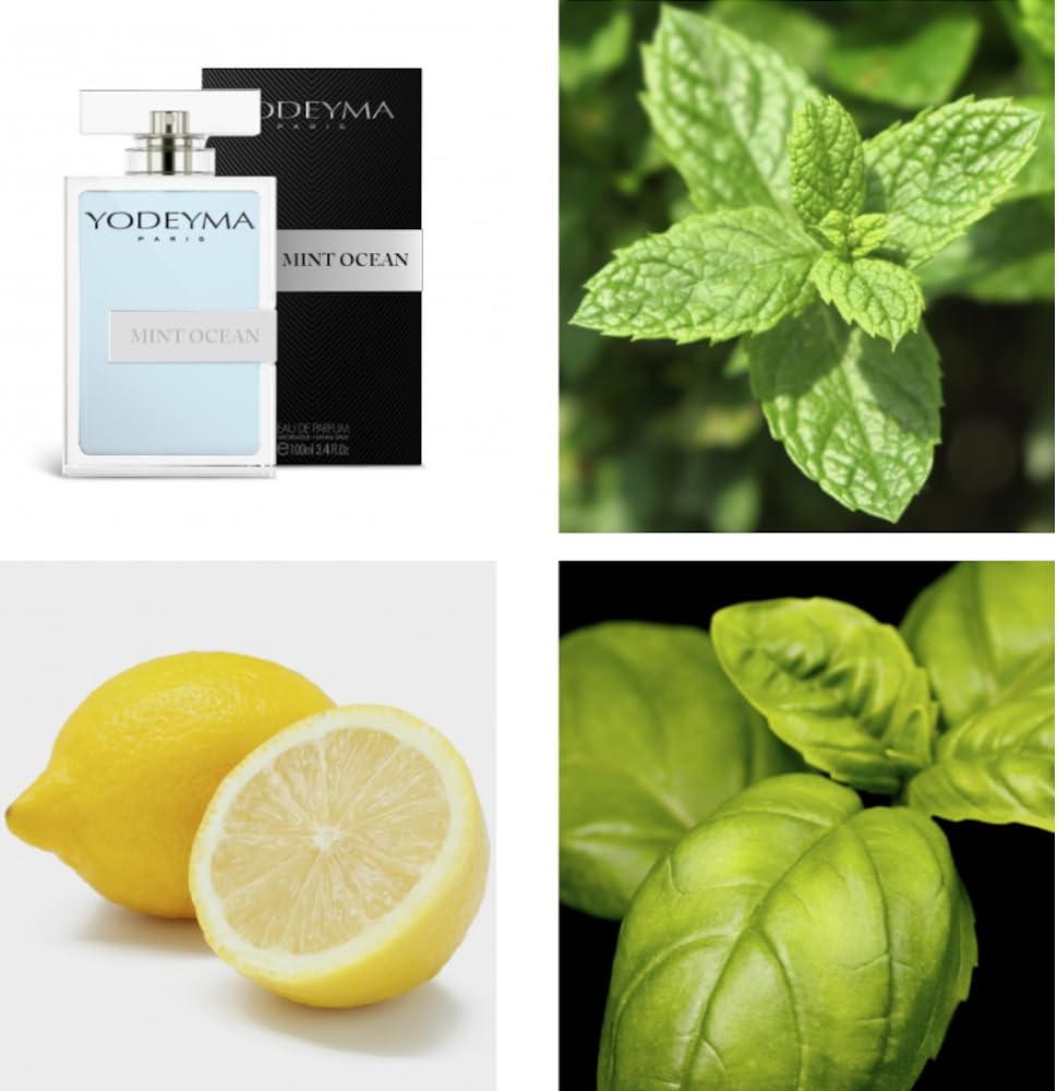 Y.o.d.e.y.m.a Parfum MINT OCEAN | Eau de Parfum | The Niche Collection | Frischer und aromatischer Duft | männlicher Duft 15-50-100 ml + gratis VLNET Parfüm (100 ml)