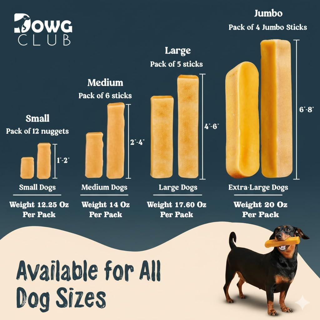 Himalayan Yak Cheese Dog Chews | Pack of 12 | Natural, Long-Lasting Treats for Aggressive Chewers, Odorless Yak Milk Chews for Dogs – Healthy, Protein-Rich (Small)