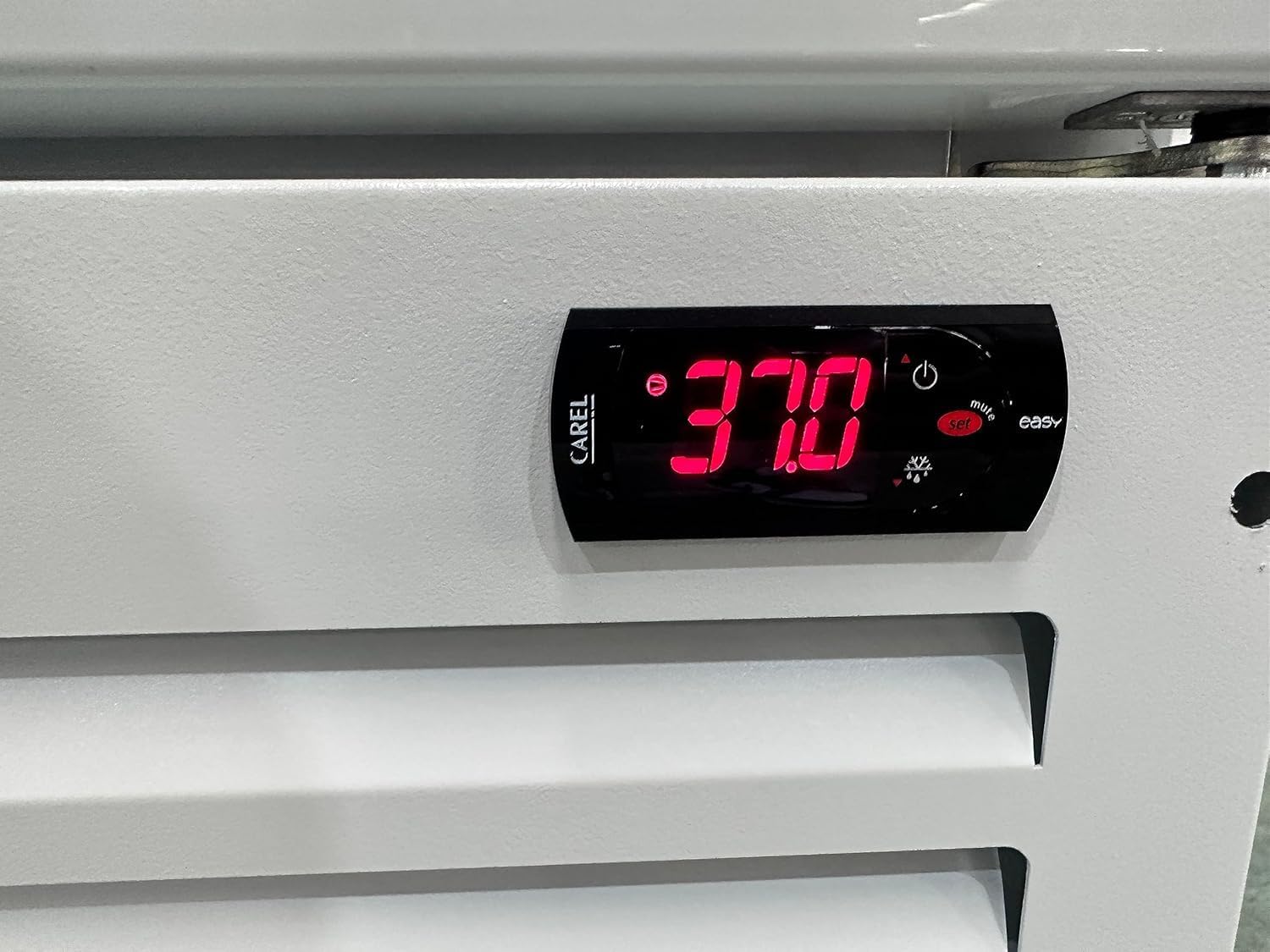 Commercial Refrigerator Floral Beverage Display Cooler,3 Glass Doors Commercial Flowers Drink Fridge With LED Light Adjustable Shelves,ETL &NSF Approval,71" Wide,White,63 Cuft,Wheels Not Included