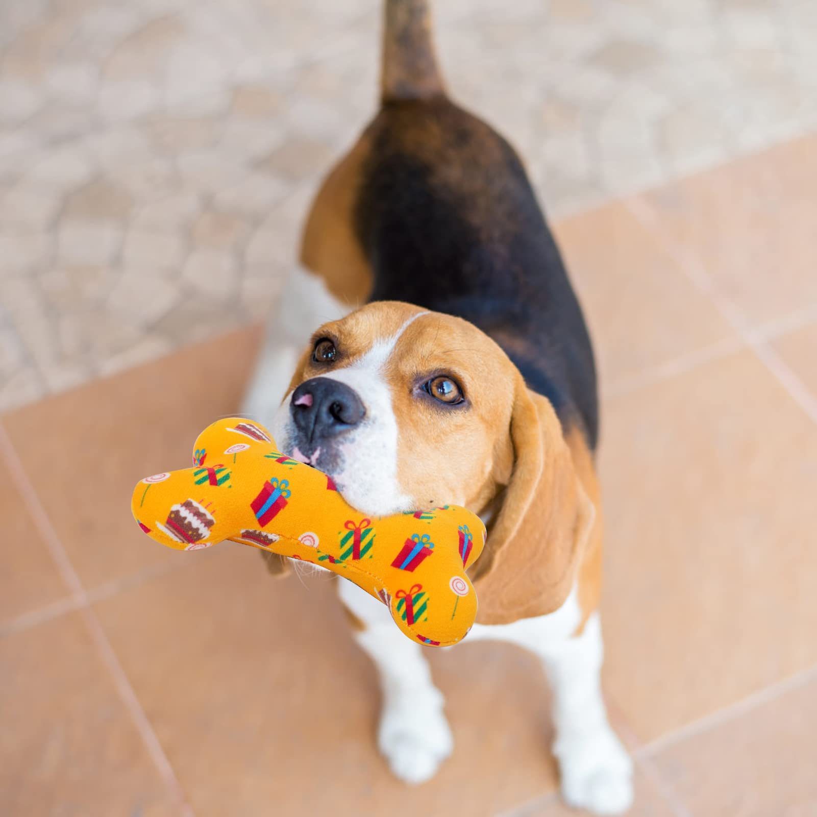 SCENEREAL Giocattoli Squeak per cani di piccola taglia