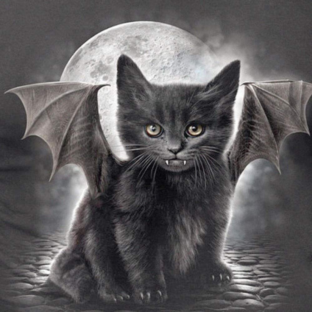 Broderie diamant chaton noir loisir créatif salon broderie 50x60