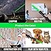 IVVTRYI Long Range Green Pointer Pwith On/Off Switch Button, Pointer High Power with USB Charging Case -Tactical Long Range for Indoor Meetings, Pet Exercising, Outdoor Camping, Astronomy and