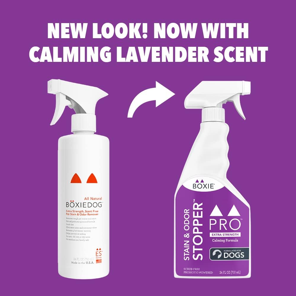 Boxie® Pro™Probiotic Calming Lavender Stain & Odor Stopper™ for Dogs, 24 oz Boxiecat (Pack of 2)