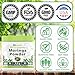tnvitamins Organic Moringa Powder | Pure Moringa Leaf Superfood | Natural Energy & Vitality | Vegan, Non-GMO, Raw Green Supplement | Nutrient-Rich Plant-Based Protein
