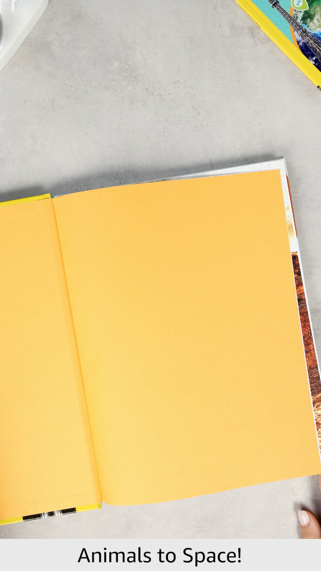 Image of National Geographic Kids Why?: Over 1,111 Answers to Everything (NGK Why?)