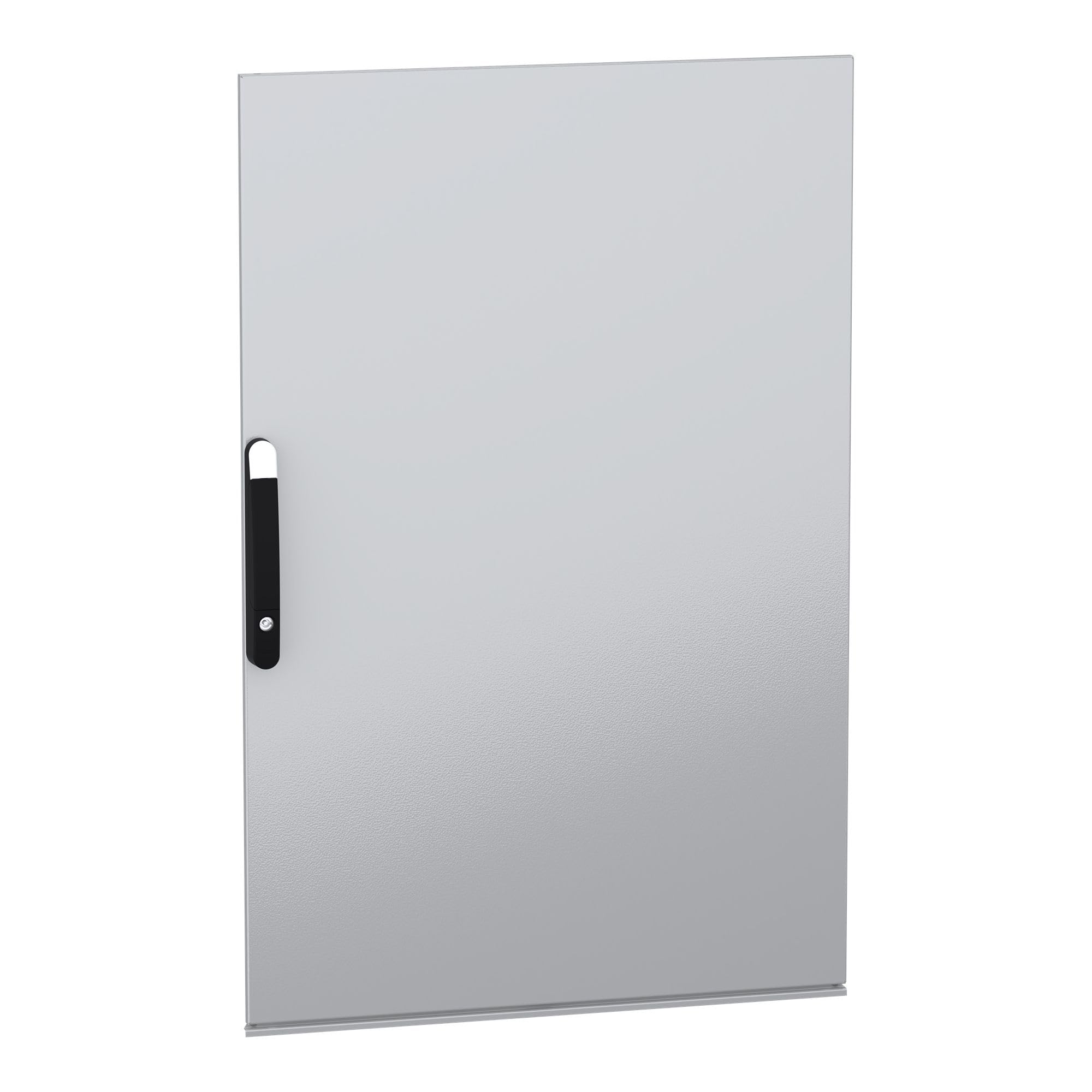Porte simple Schneider Electric PanelSeT SFN 1200 x 800 mm pour kit de distribution