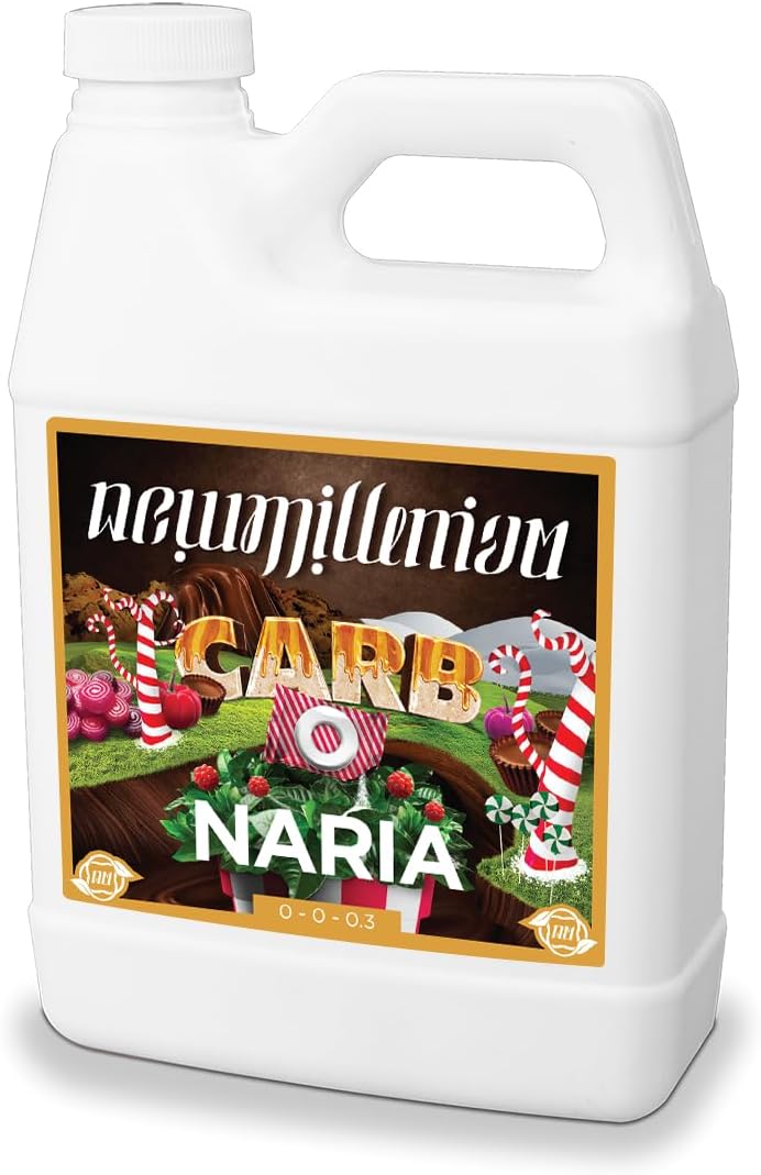 New Millennium Carbonaria Quart