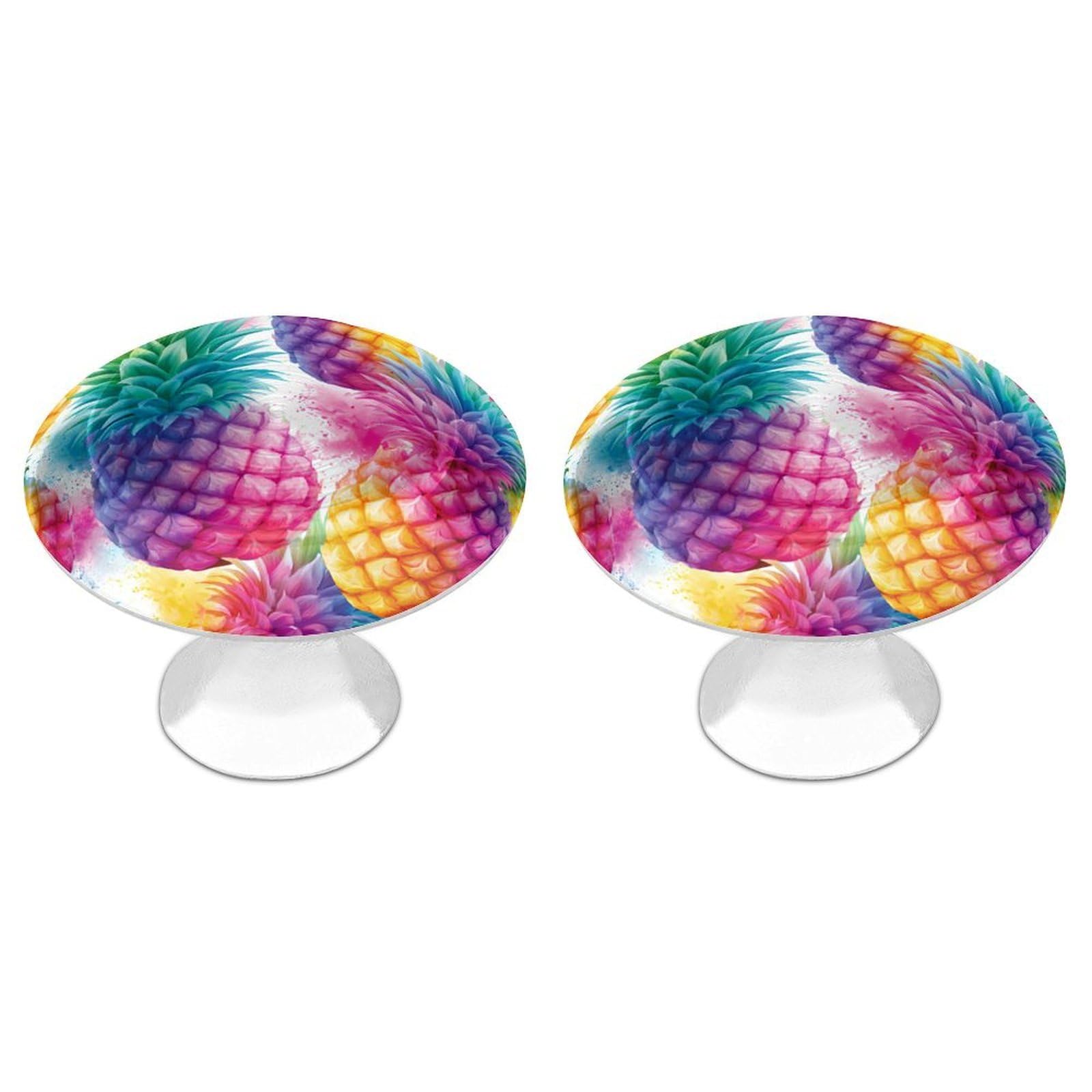 Jubonexis Watercolor Tropical Pineapple Fruit Color Splash Round Drawer Cabinet Knobs Handles with Screws,2 Pcs, Drawer Dresser Knob Pulls Decor for Wardrobe Cupboard Home Office Kitchen