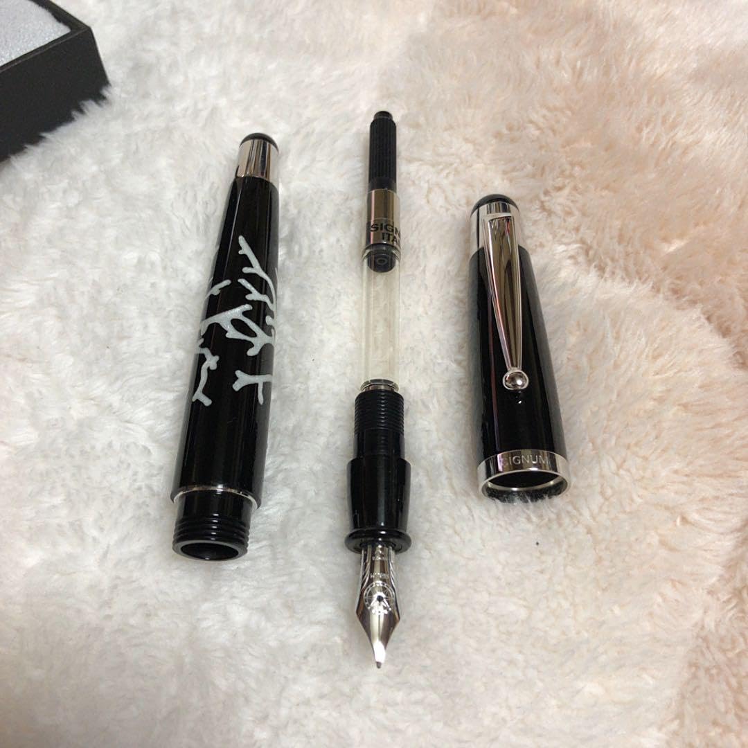 Amazon | 品 シグナム コラーロ 万年筆 ホワイト 18金 ニブF | 万年筆  