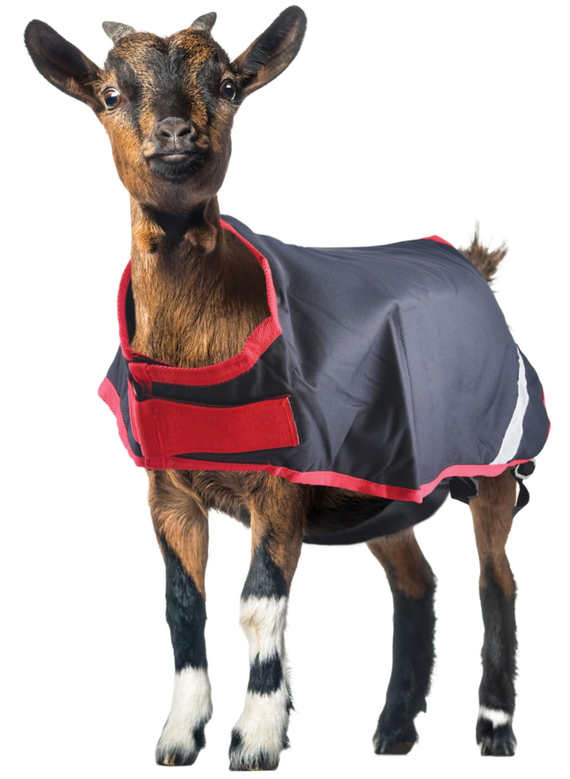 Horseware® Goat Coat (100g Light)