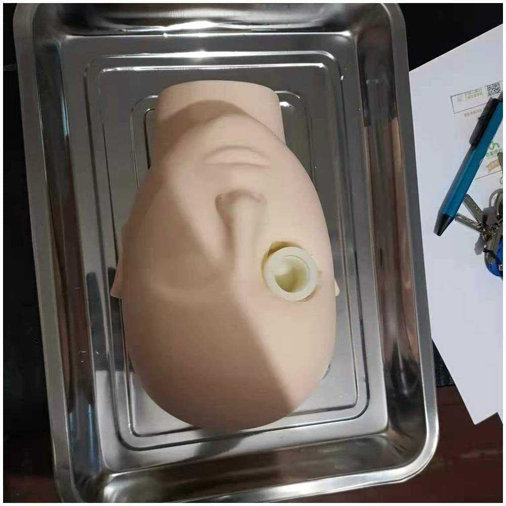 Tieraugen-Trainingsmodell – Silikon-Ophthalmologie-Kopf für medizinische Praxis, Krankenschwester Bildungsbedarf, Gesichtstraining-Mannequin für Studenten