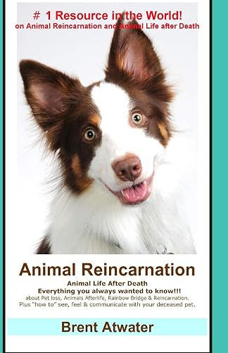 Animal Reincarnation: Everything You Always Wanted to Know! about Pet Reincarnation plus "how to" techniques to see, feel &amp; communicate with your deceased pet