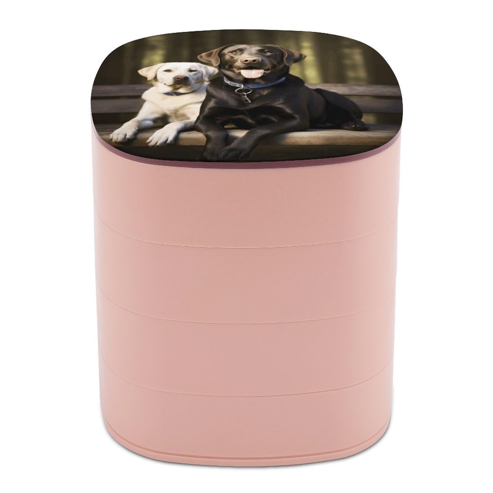 VstaDank Labrador Jewelry Box 360° Rotatable Jewelry Organizer 4 Layers Jewelry Case with Lid Fashion Portable Earring Holder for Bracelets Rings Bracelets Vanity