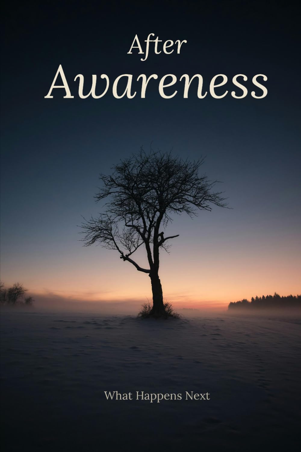 After Awareness: What Happens Next (Awareness Series)