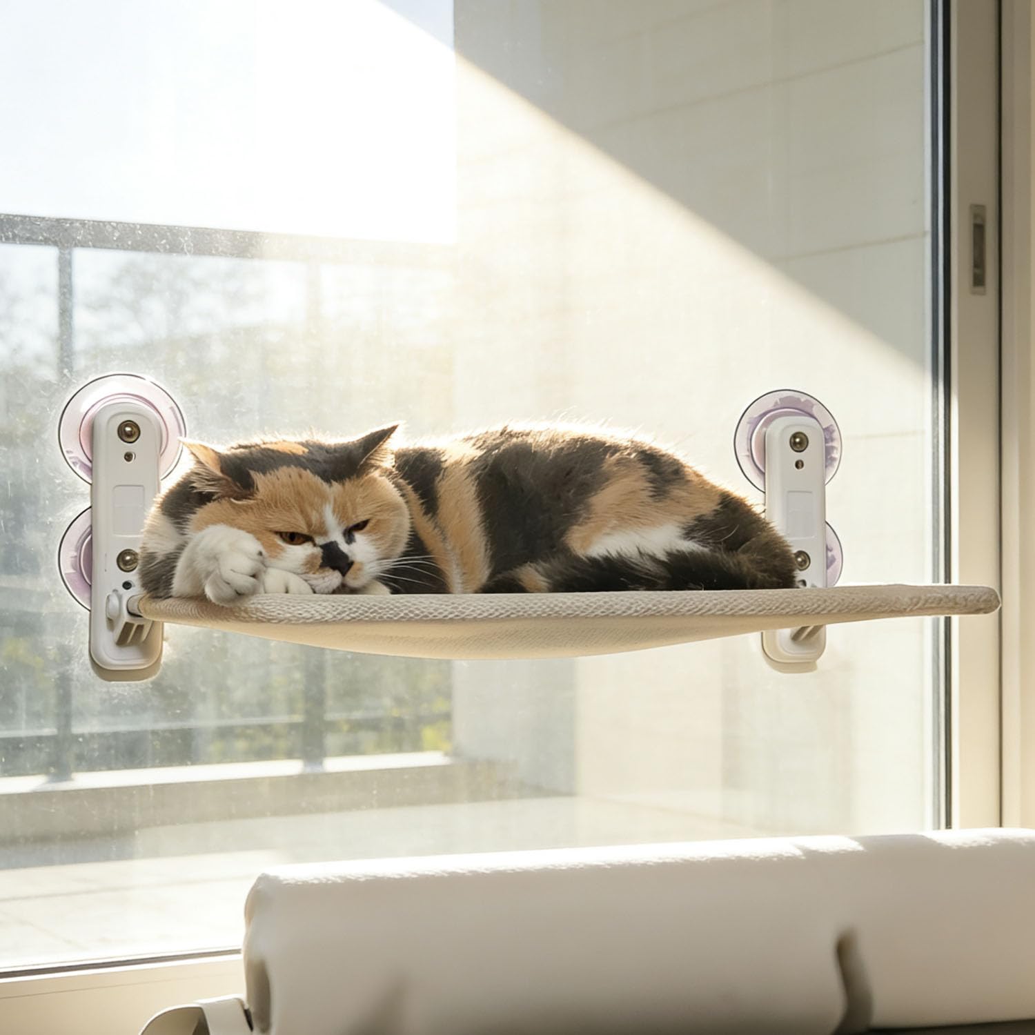 Hamac fenêtre chat d'intérieur pour observer les oiseaux au soleil