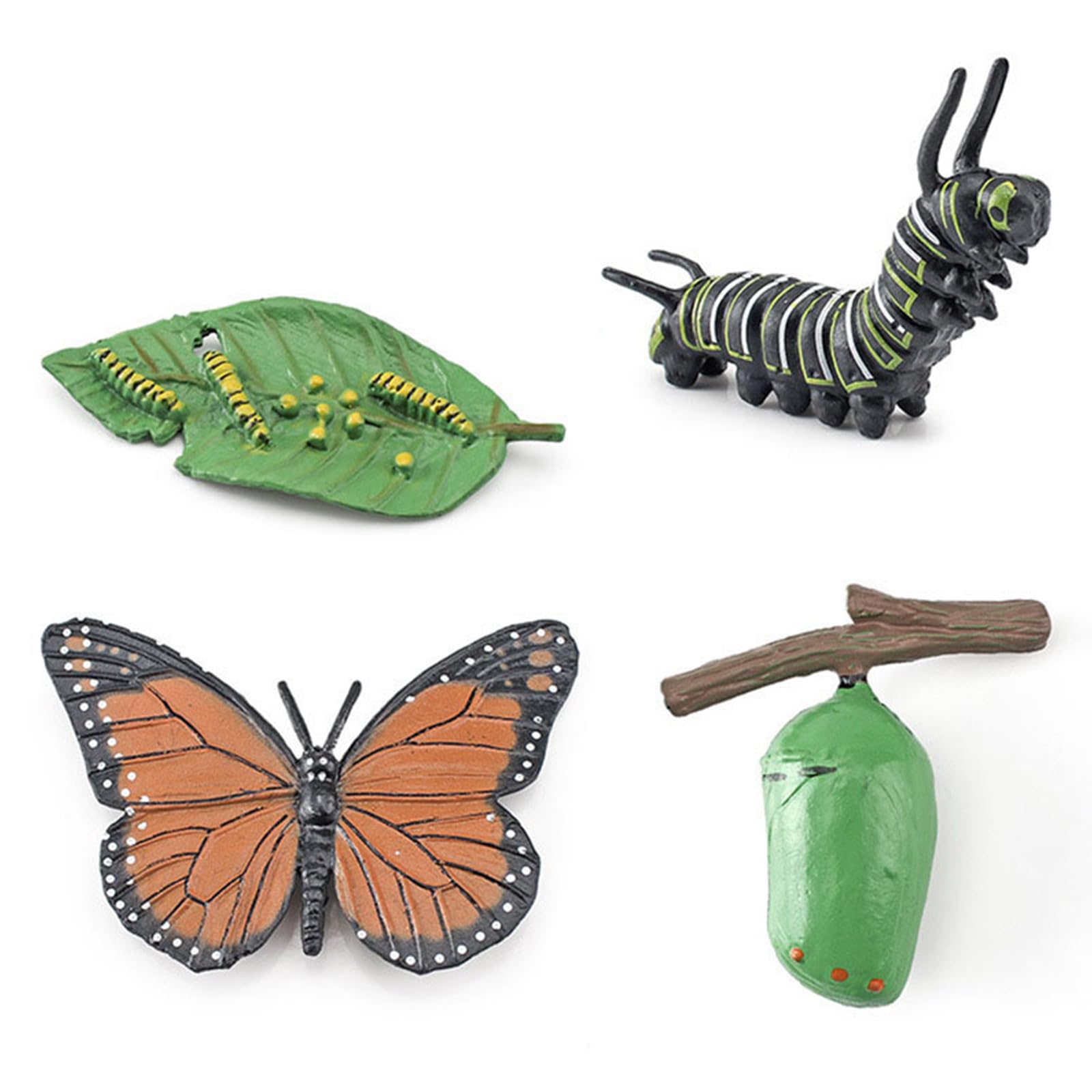 Comioke Educational Toy for Growth, Life Cycle Butterfly, 4 Pieces Butterfly Life Cycle Figures Growth Model, Plastic Insects, Butterfly Decoration (Butterflies)