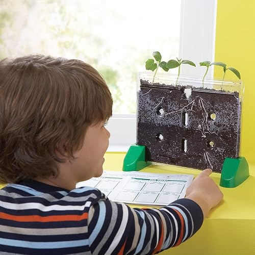 Miniatura 2 de Ventana Educational Insights Sprout  Grow Window