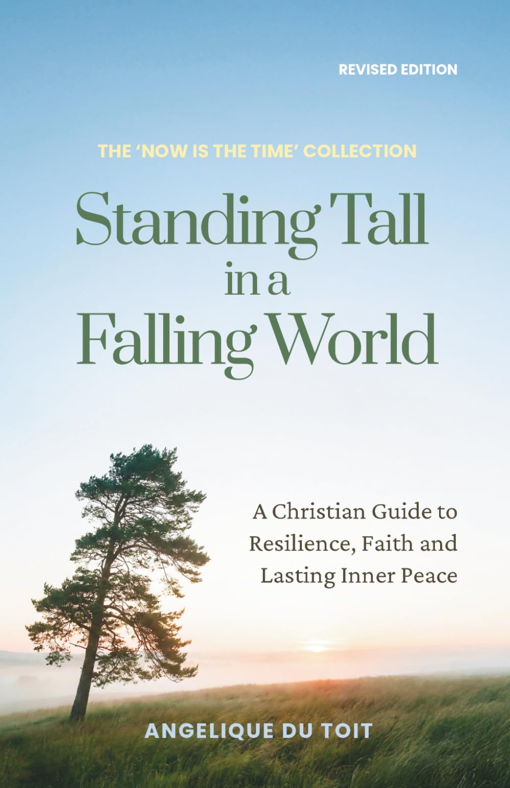 Standing Tall in a Falling World: A Christian Guide to Resilience, Faith and Lasting Inner Peace