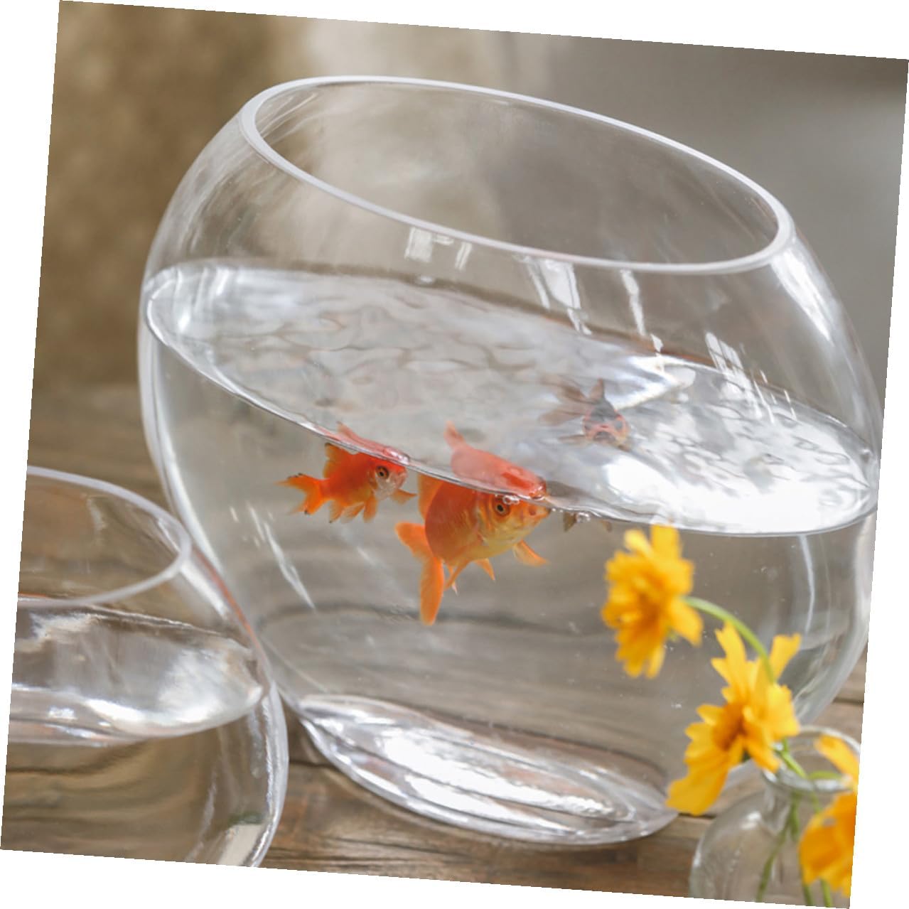 Glass Goldfish Tank Oval Desktop Betta Aquarium Tank Flat Mini Multifunctional Small Home Aquarium for Fish and Aquatic Plants