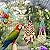 PBIEHSR Bird Parrot Swing Toys, Pet Bird Cage Hammock Chewing Toy Hanging Bell Wooden Perch for Small Parrots, Conures, Love Birds, Small Parakeets, Finches, Budgie (Multi-A)