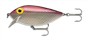 ラパラ ストームルアー 22個セット ラパラ ストームルアー 22個セット